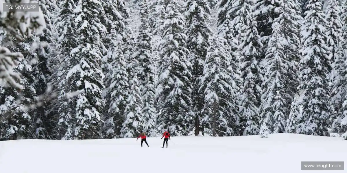 🎁球迷专属,潮流装备一键拥有!👕